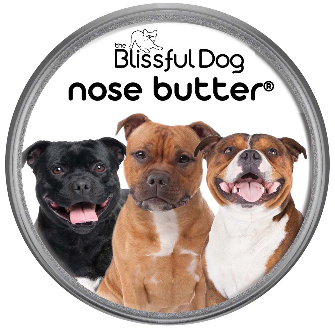 Staffordshire Bull Terrier Nose